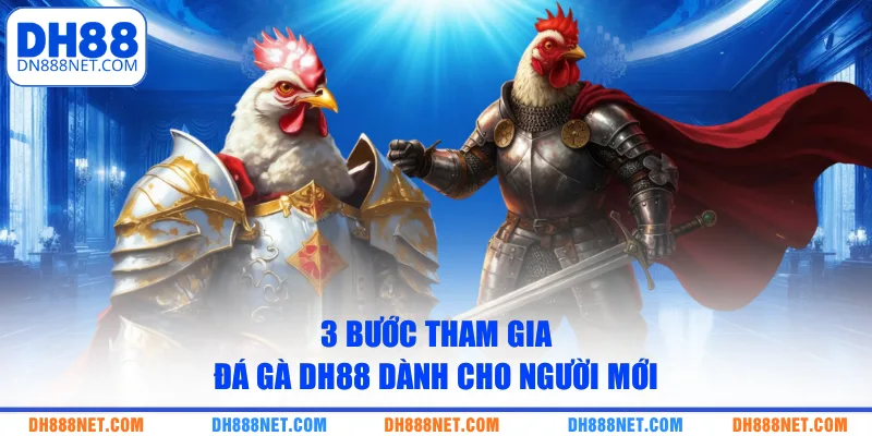 3 bước tham gia đá gà DH88 dành cho người mới