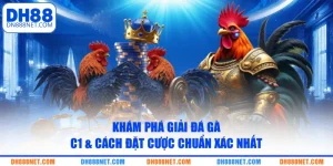 kham pha giai da ga c1 cach dat cuoc chuan xac nhat